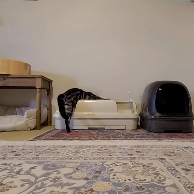 lovepeaceさんの部屋