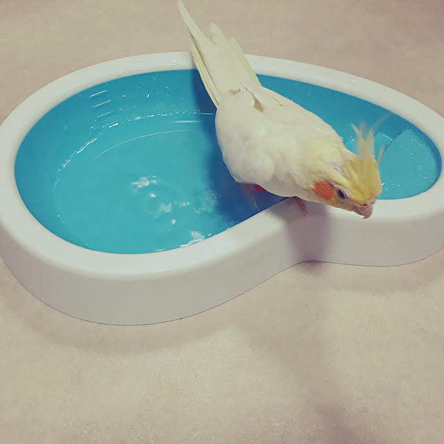 ANTENNAさんの実例写真