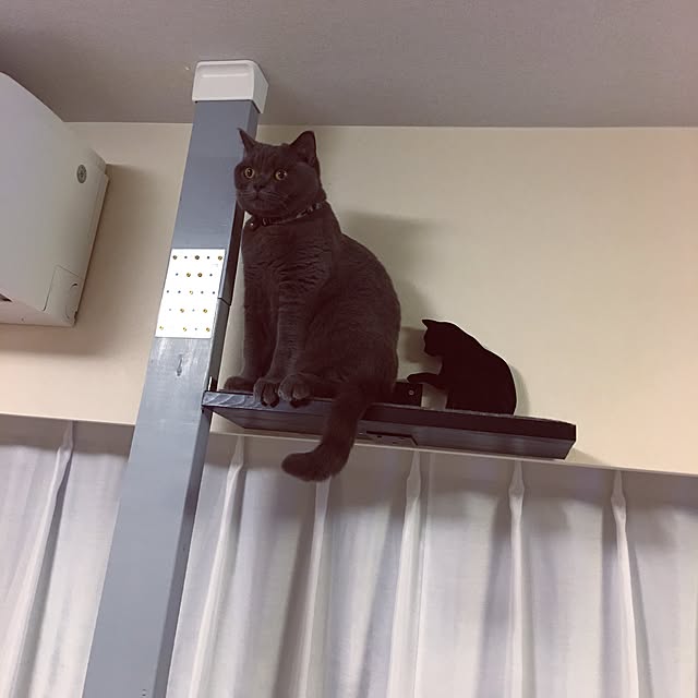 Shojiさんの実例写真