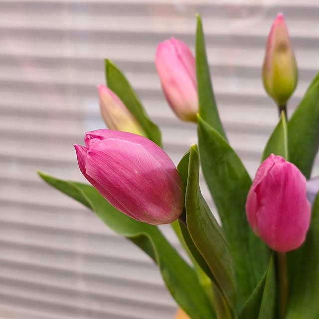 mokaさんの実例写真