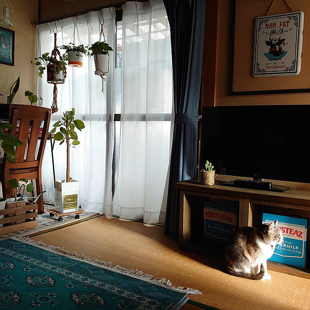 fukuさんの実例写真