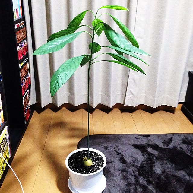 Takeさんの実例写真