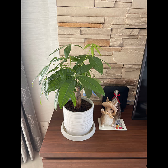 tigerさんの実例写真