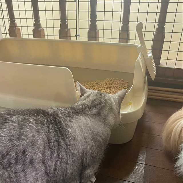noririn525222016さんの実例写真