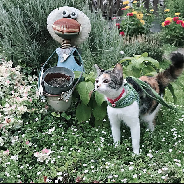 1013さんの実例写真
