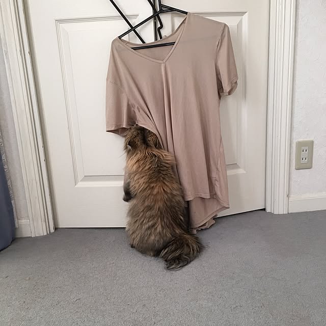 rukaさんの実例写真