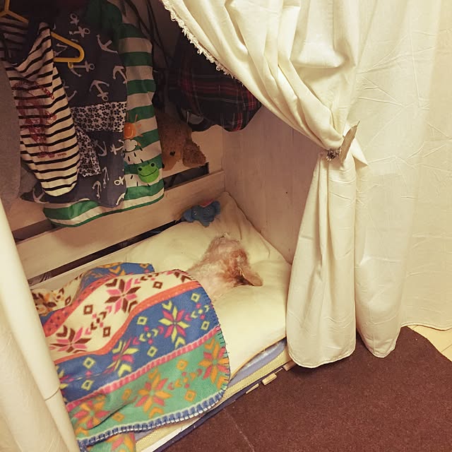 oniyomeさんの実例写真