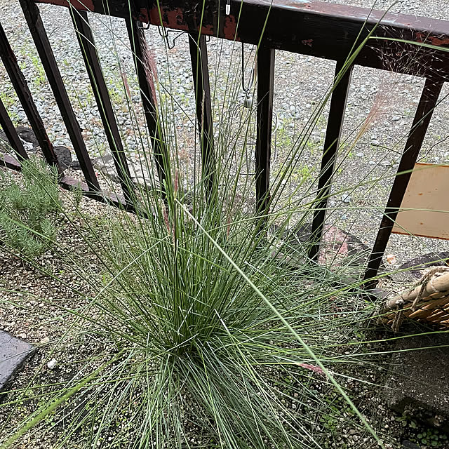 shin0719さんの部屋