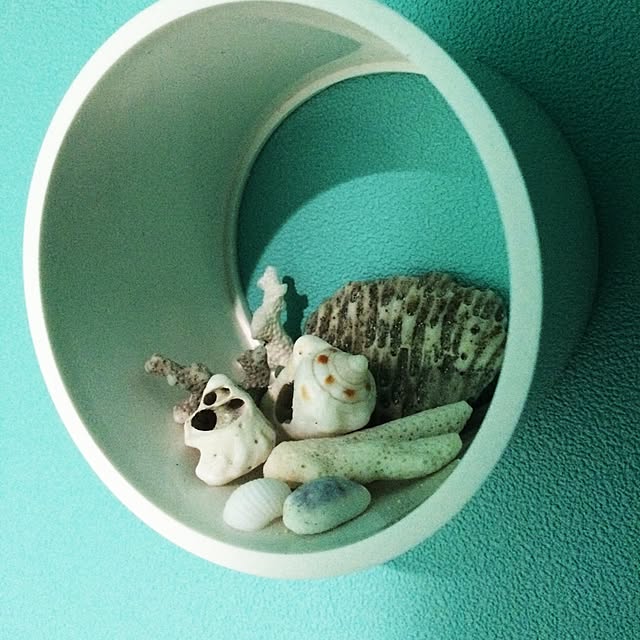 misaさんの実例写真