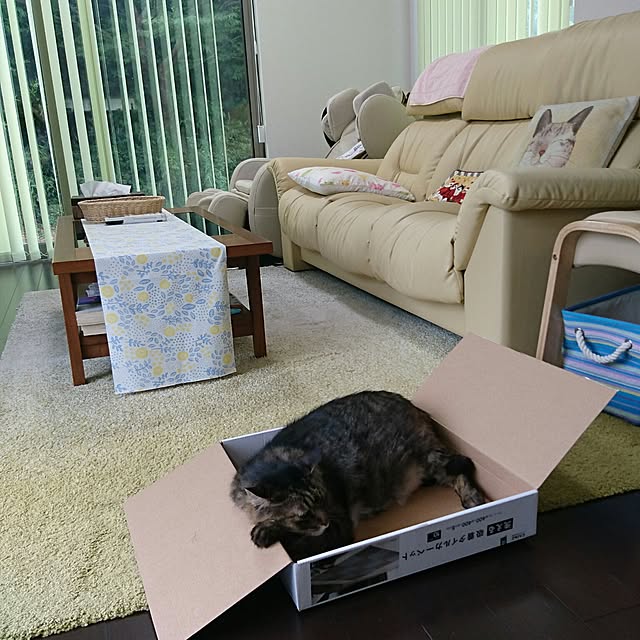 rikadaiさんの実例写真