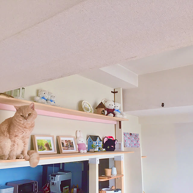 naokoさんの実例写真