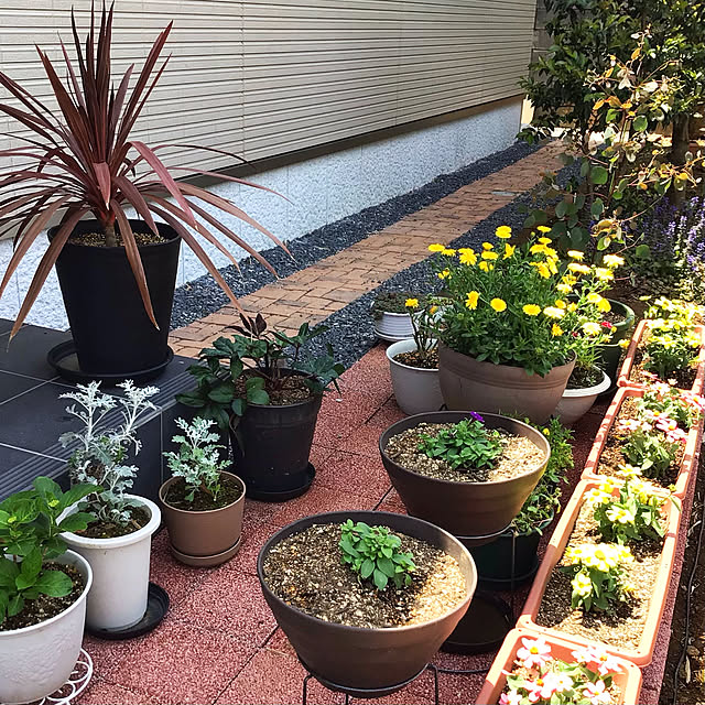 houenさんの実例写真