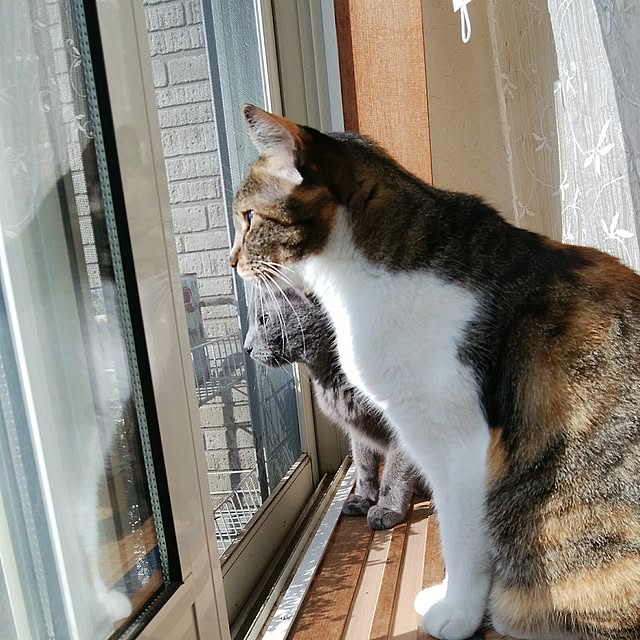 tomo1220さんの実例写真