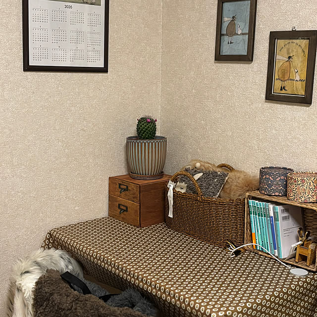 canetteさんの部屋