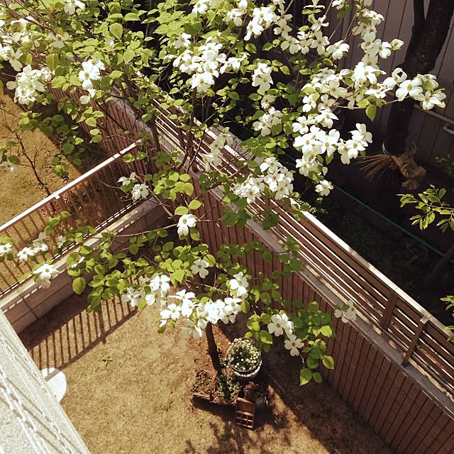 tsuyaさんの実例写真
