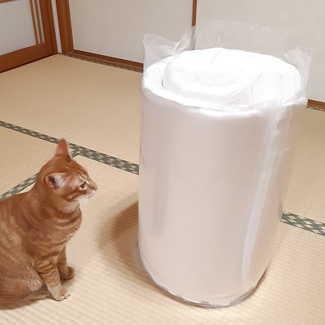 m.m.mさんの実例写真