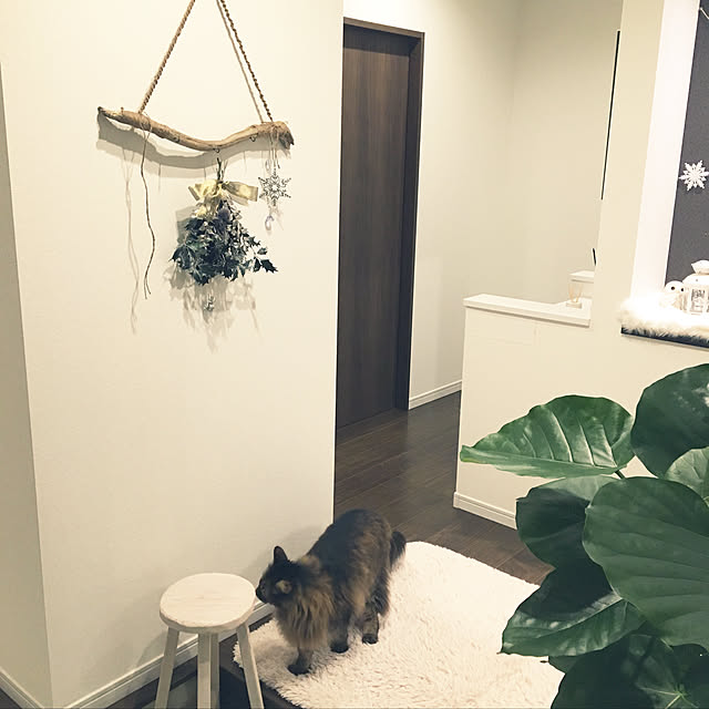 takiさんの実例写真
