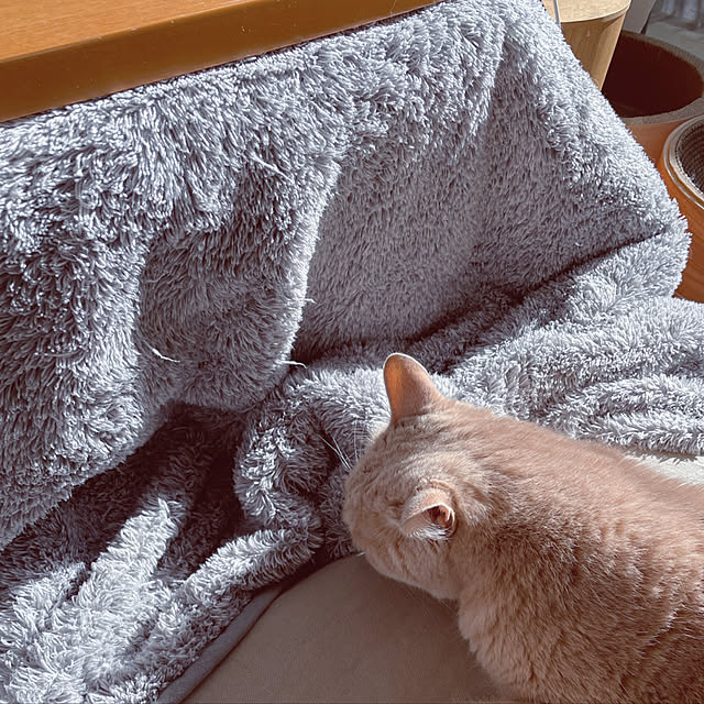nicoさんの実例写真