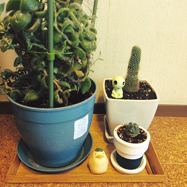 kamecoさんの実例写真