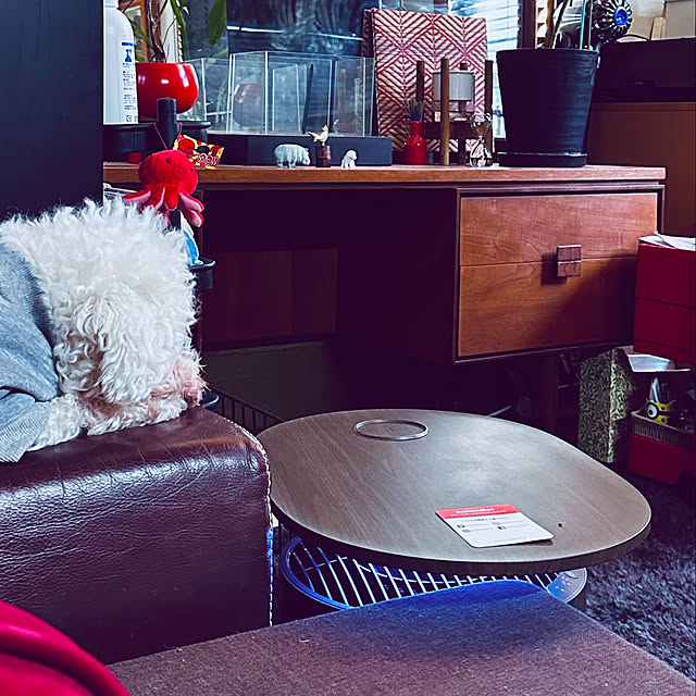 chacoさんの部屋