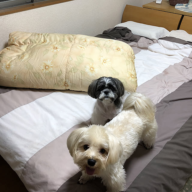 tenmaruさんの実例写真
