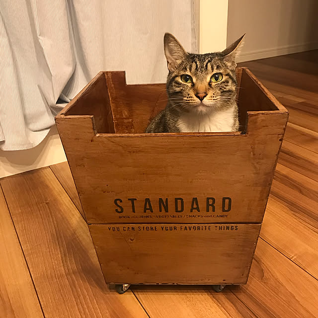 Yuliさんの実例写真