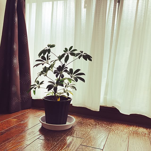 bonkumaさんの実例写真
