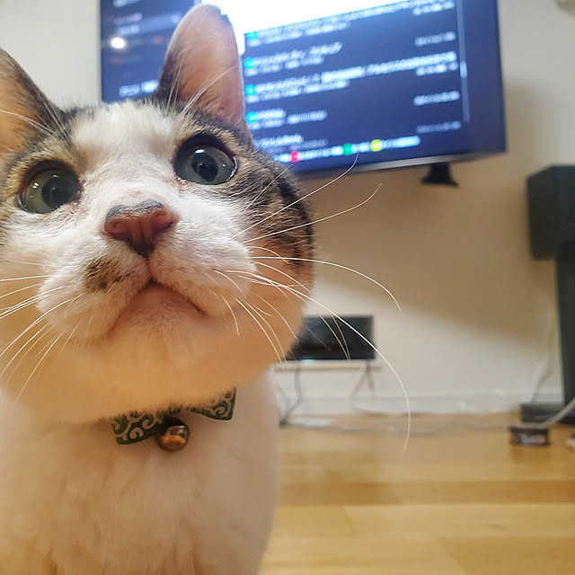tomatopapaさんの実例写真