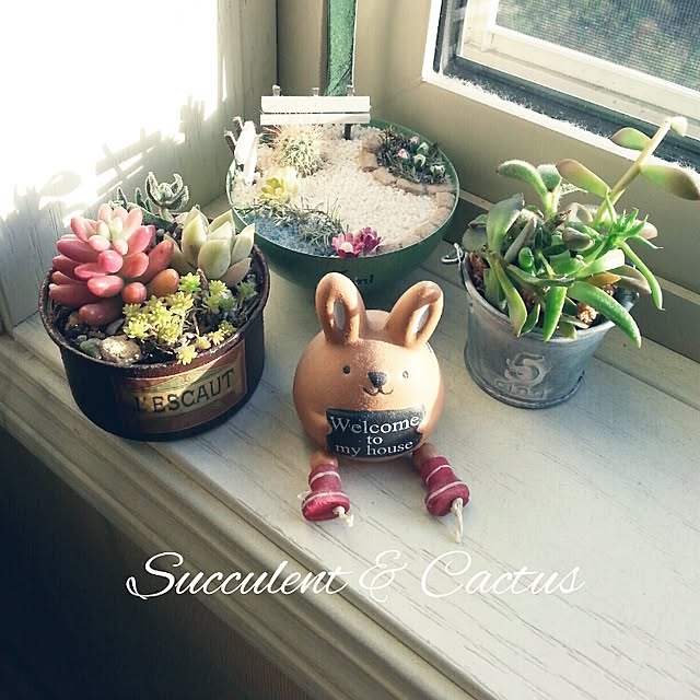 mame-shibaさんの実例写真