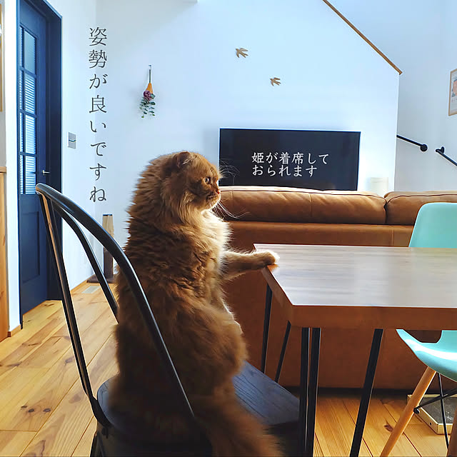 chibinoriさんの実例写真
