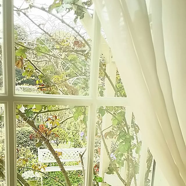 s.mamaさんの実例写真