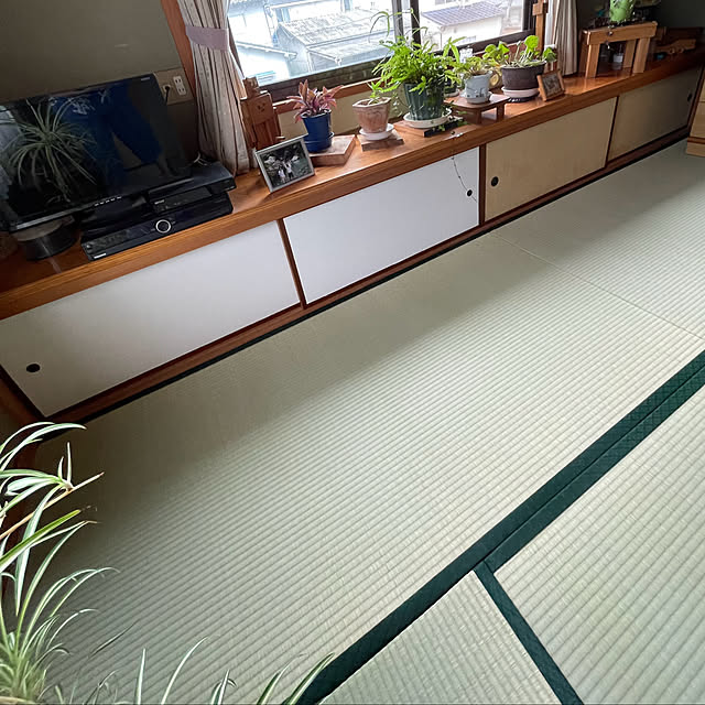 buchiさんの実例写真