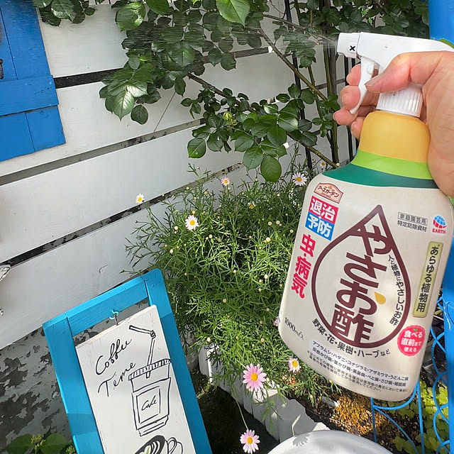 Megumiさんの部屋