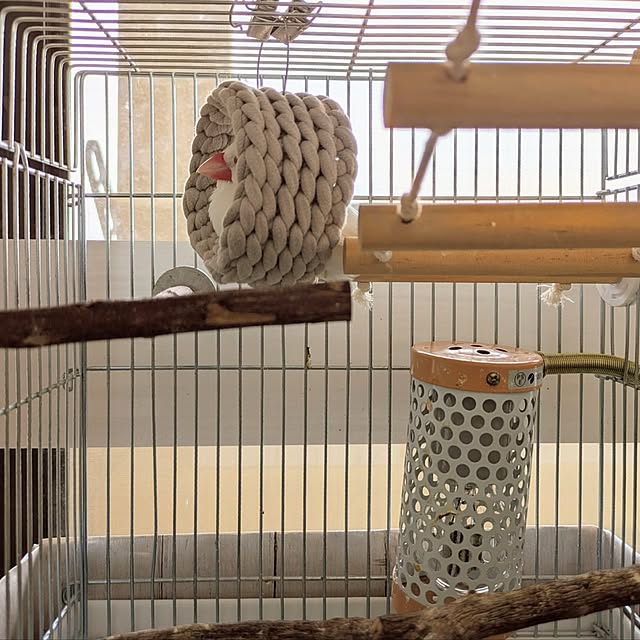 escargotさんの部屋