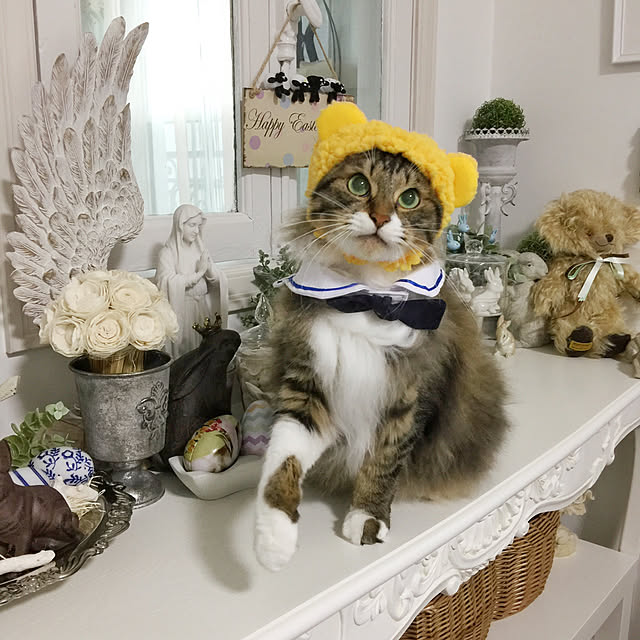 yuchiさんの実例写真