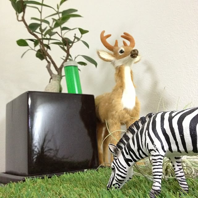 pomheroさんの実例写真