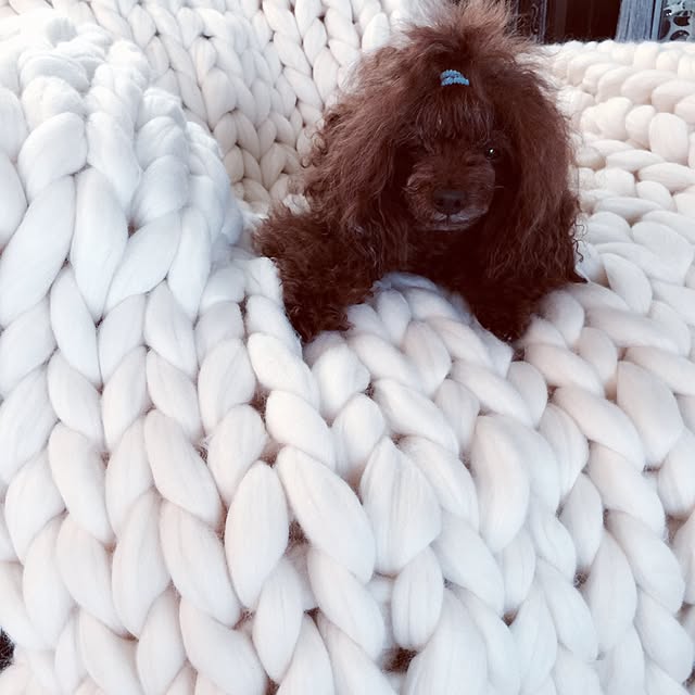yoshiさんの実例写真