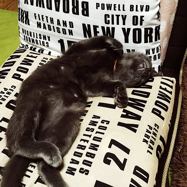 8717さんの実例写真