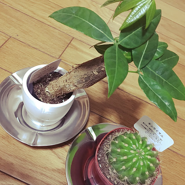 re.さんの実例写真