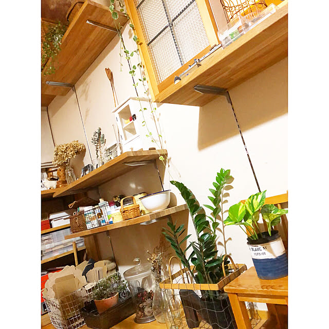 naho81078さんの実例写真