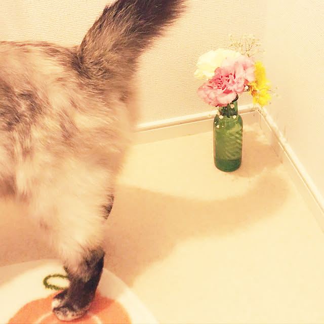 nanaoさんの実例写真