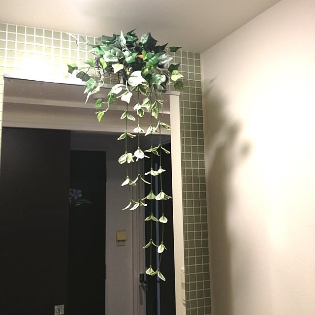 cocotaroさんの実例写真