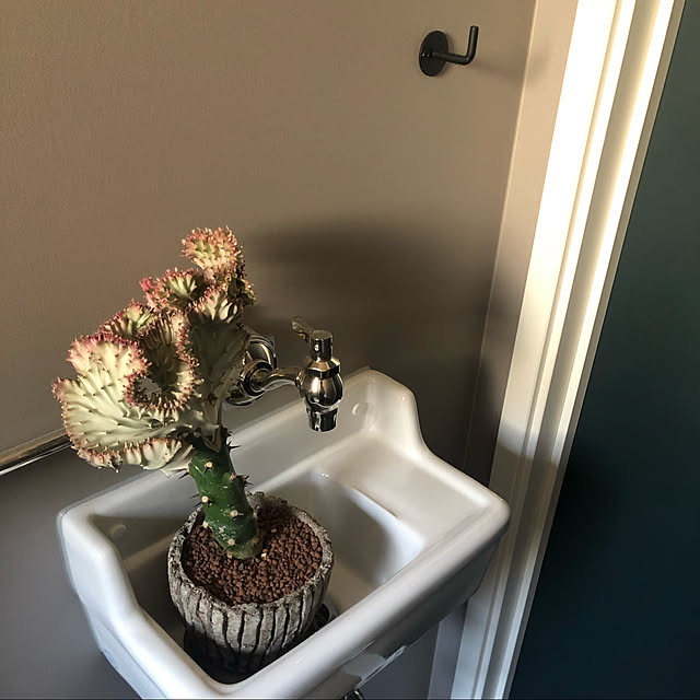 m.homeさんの実例写真