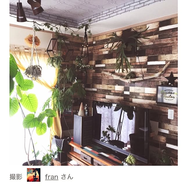 franさんの実例写真