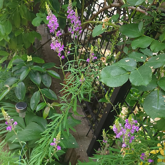 mimi828さんの部屋