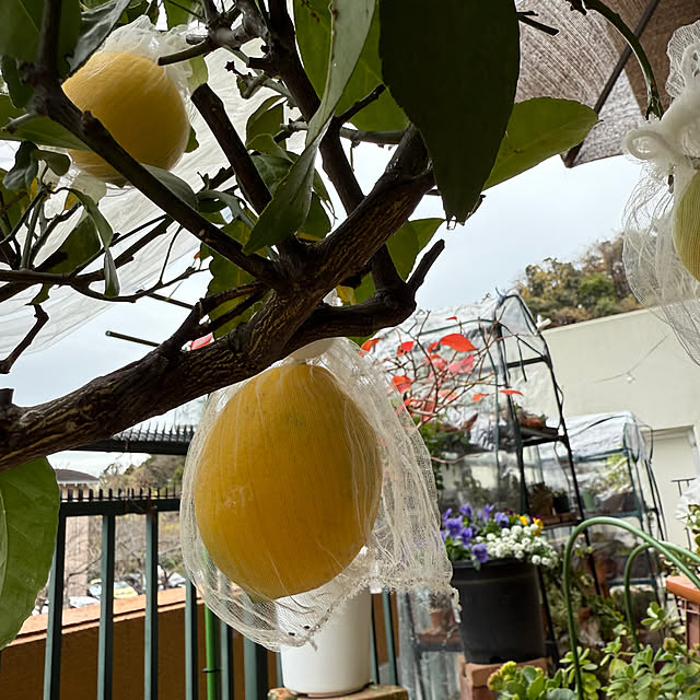 Aqettyさんの実例写真