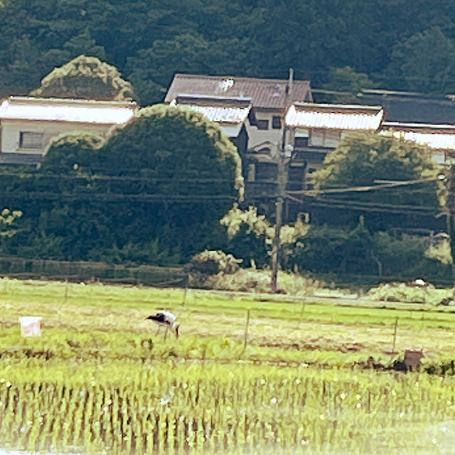 cota2さんの部屋