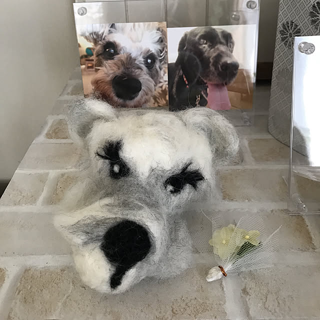 alchoさんの実例写真