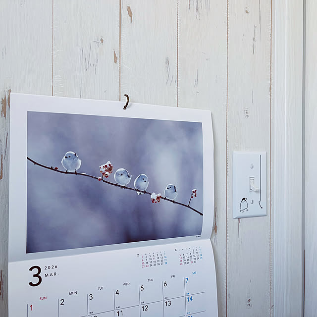 usagiさんの部屋