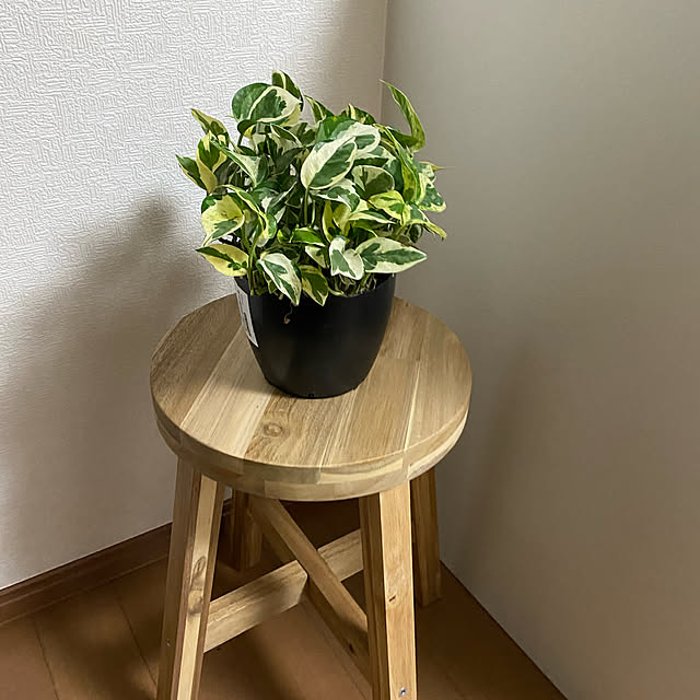 nomaooyaさんの実例写真